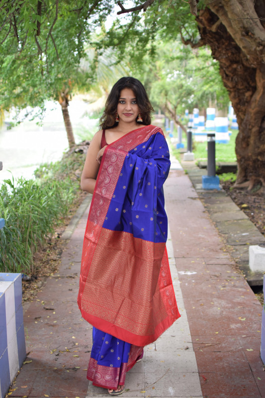 Banarasi Silk Saree